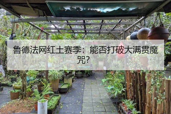 鲁德法网红土赛季：能否打破大满贯魔咒？
