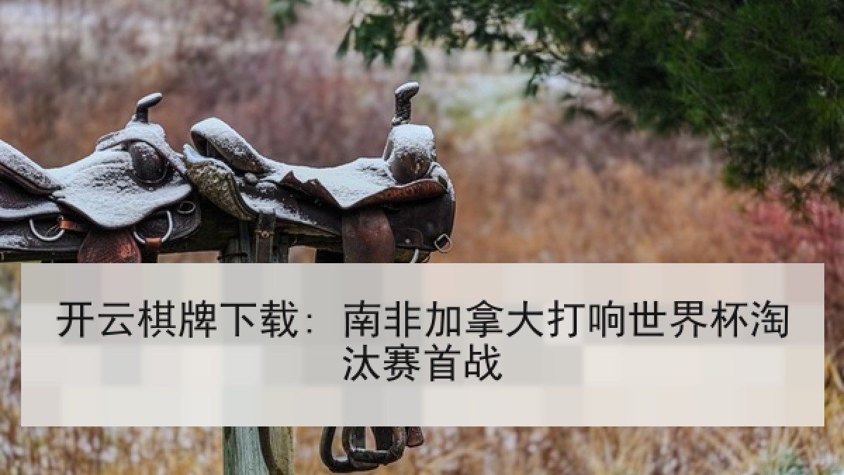 开云棋牌下载: 南非加拿大打响世界杯淘汰赛首战