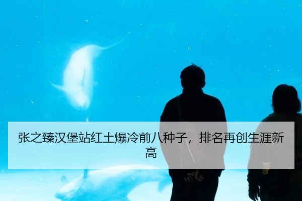 张之臻汉堡站红土爆冷前八种子，排名再创生涯新高