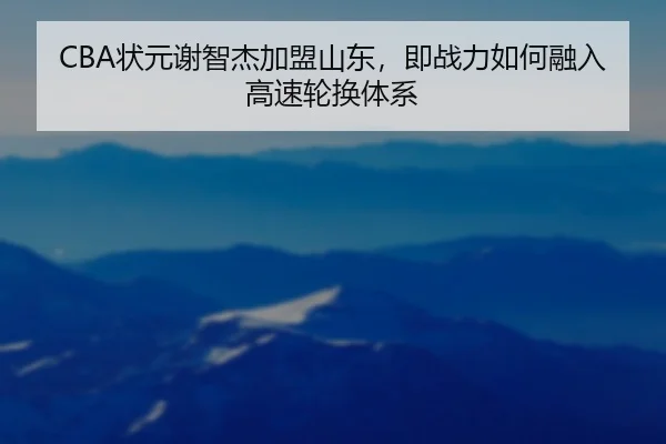 CBA状元谢智杰加盟山东，即战力如何融入高速轮换体系